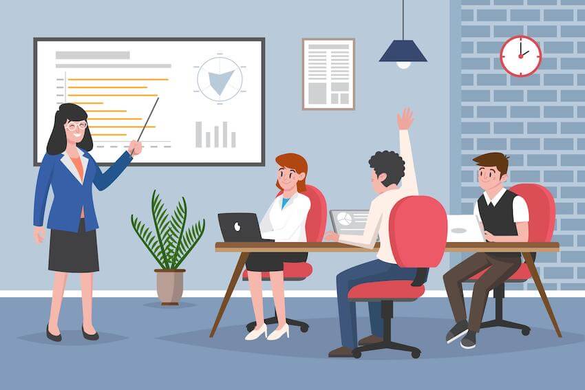 Professional experience